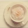原版黑山州立大学学位证【degxx.com】